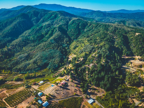 Parcela Forestal En Ñipas, Ranquil.