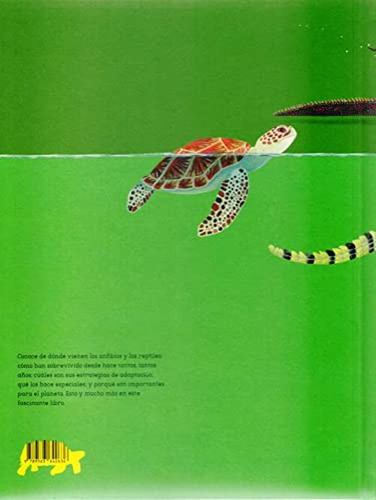 Agua Y Tierra / Water And Land: Anfibios Y Reptiles De Ameri