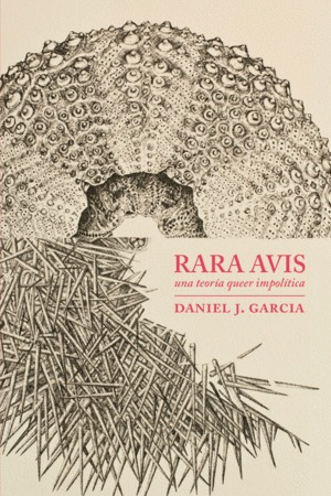 Rara Avis