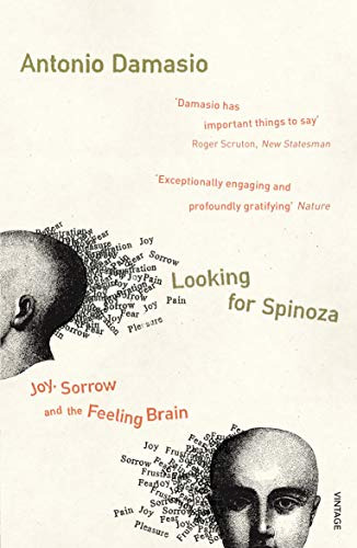 Libro Looking For Spinoza De Damasio, Antonio