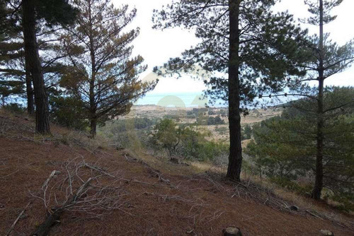 Terreno Tunquén: Naturaleza Y Vista Al Mar
