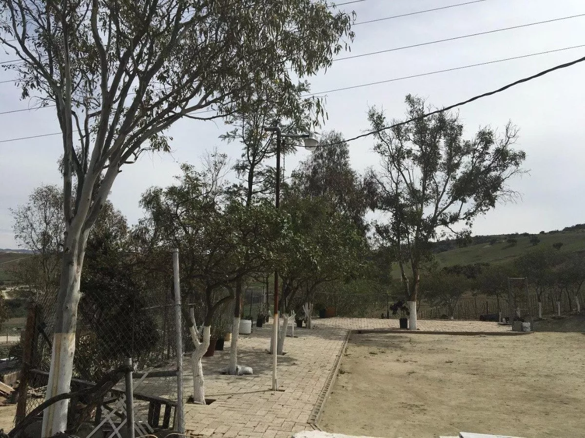 Terreno En Venta En Tijuana Oportunidad Para Desarrolladores