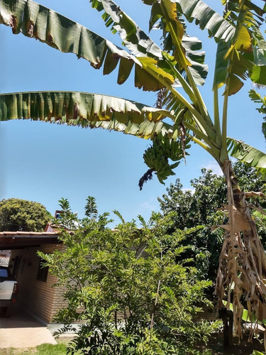 Imagem 5 de 25 de Casa A Venda Sibauma