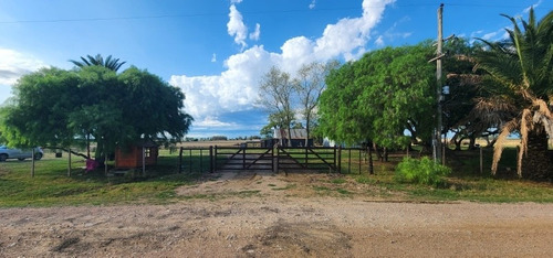 Imagen 27 de 30 de Excelente Campo Con Muy Buenas Mejoras .
