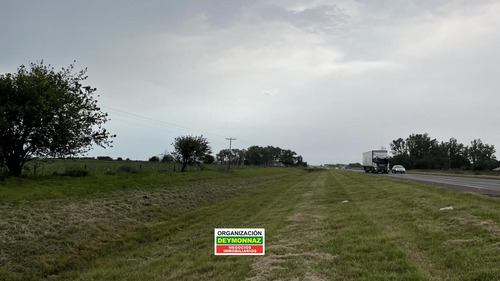 Imagen 10 de 30 de 24 Has Sobre Autovía Ruta 14 Colonia Elia Entre Ríos
