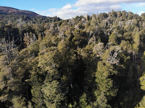 Imagen 19 de 27 de Lote De 3.079m2 En Bº Calfuco A Metros Del Lago Nahuel Huapi, Villa La Angostura
