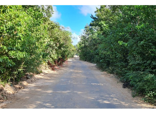 2 Terrenos Juntos 430 M2 Ideal Para Invertir En Cancún, Álamos