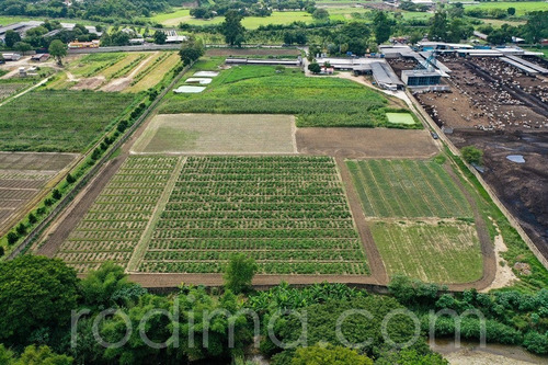 Imagen 2 de 29 de Granja Agrícola Y Porcina Turmero, De 5.7 Hectáreas 04123465023