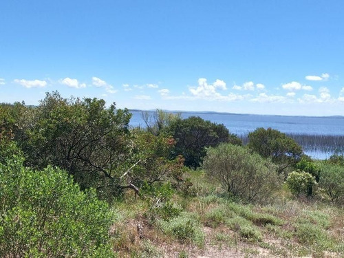 Imagen 9 de 17 de Terreno De 4.374 Mts2 Con Costa A Laguna Del Sauce