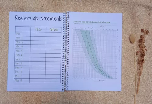 Agenda de embarazo + Cuaderno pediátrico - Panditas