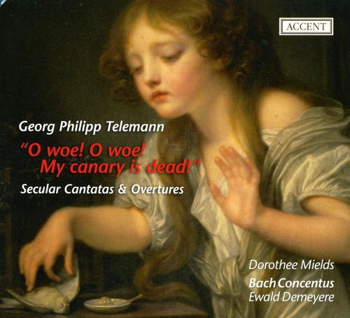 Concentus De Bach; Dorothee Mields O ¡ay De Mi Canario Es Cd