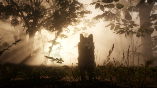 Red Dead Redemption 2 - Ps4