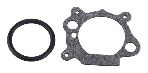 Carburador Briggs & Stratton 5 6hp + Junta Y Oring - 799868