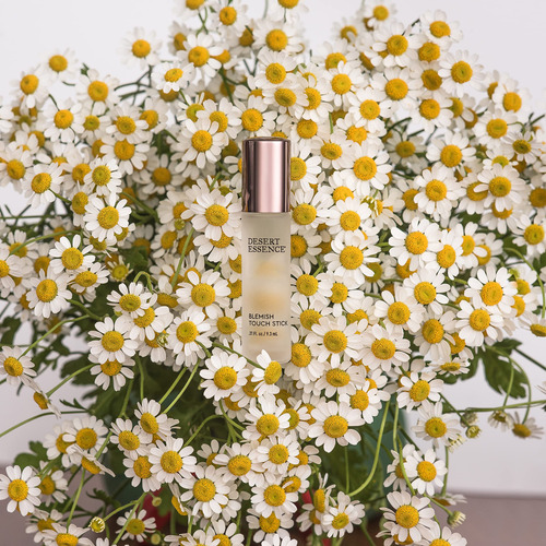 Blemish Touch Stick Desert Essence Herbal Con Aceite De Árbo