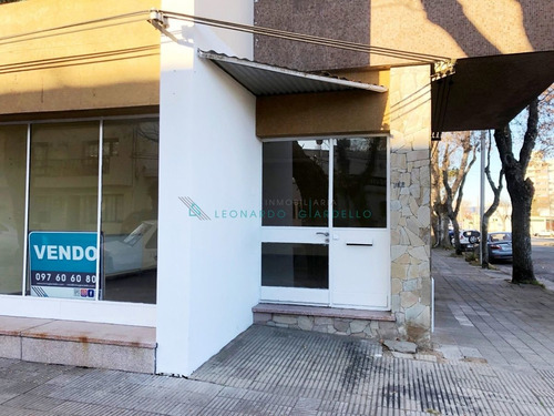 Imagen 3 de 15 de Colonia Del Sacramento - Excelente Local Comercial