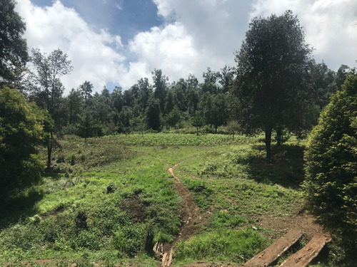 Terreno En Venta, 45,000 M2 En Huauchinango, Puebla