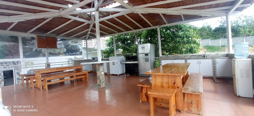 Imagen 14 de 16 de Johanna Castillo Vende 04145951217 Empresa En Nirgua