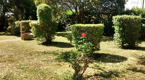 Pegado A Country Club Chacras Abbott Oportunidad Venta Campo Terreno 6 Hectareas 53738 M2 Sin Expensas Monte Buenos Aires Casa 4 Ambientes 3 Habitaciones, Baño, Cocina Comedor. Se Escucha Oferta!!!