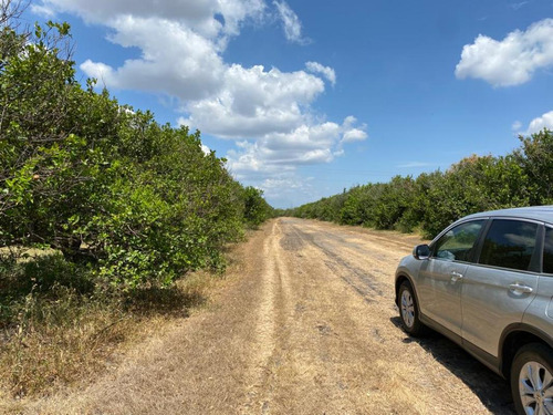 Terreno Carretera Victoria A Matamoros