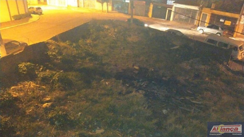 Imagem 11 de 11 de Terreno Para Venda No Bairro Jardim City Em Guarulhos - Cod: Ai18552 - Ai18552