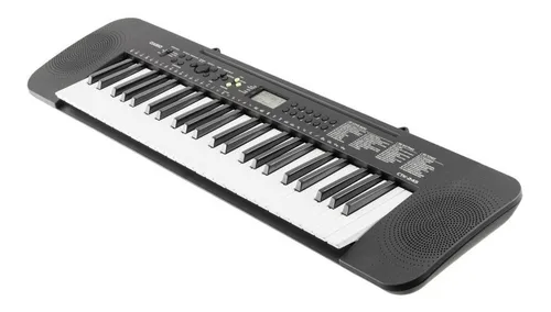 Casio ctk 245 price cheap
