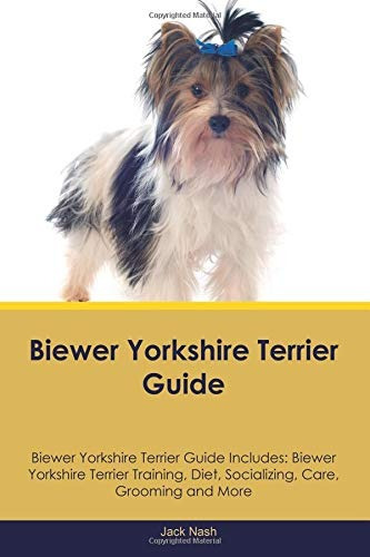 Biewer Yorkshire Terrier Guide Biewer Yorkshire Terrier Guid