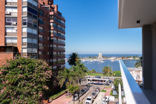 Venta Apartamento Puerto Buceo, Monoambiente Con Terraza, 1 Baño.  Estrene!!