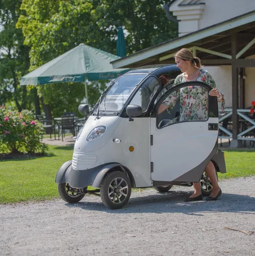 Triciclo Absolute Gt Golf Eléctrico Sunra Discapacitado