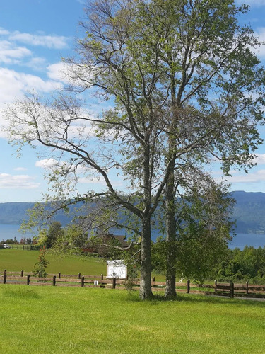 Parcela En Los Riscos,  Vistas Al Lago Y  Volcan Villarica
