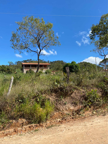 Lote