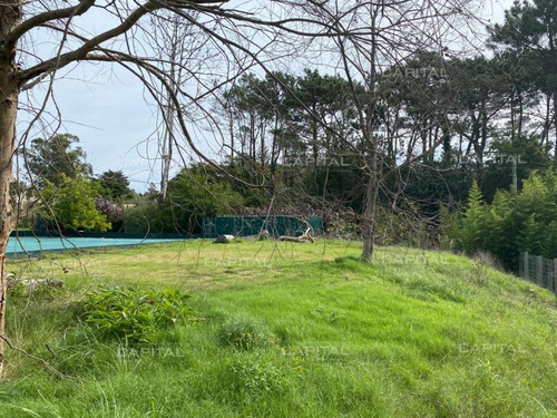 Imagen 12 de 17 de Hermoso Terreno En Golf, Punta Del Este - Punta Del Este Golf