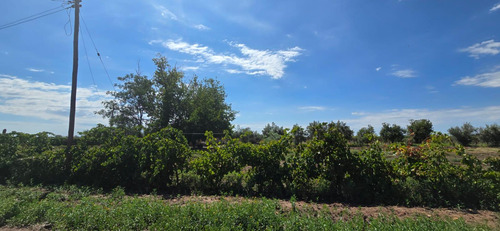 Venta Finca El Carrizal