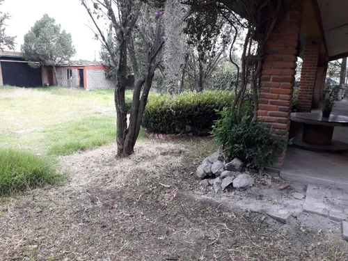 Finca Elsa Alicia (precio A Tratar)