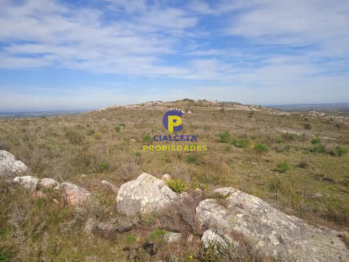 5 Hectáreas En Las Cañas