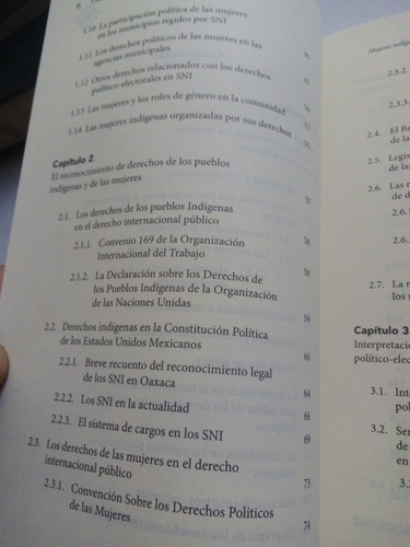 Imagen 3 de 8 de Libro Mujeres Indígenas Derechos Político Electorales Gaspar