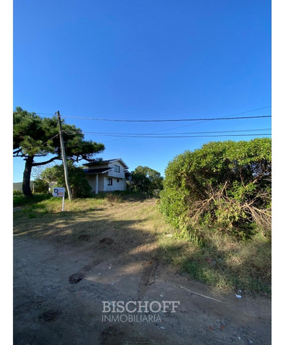 Venta De Lote En Ostende Calle Moreno