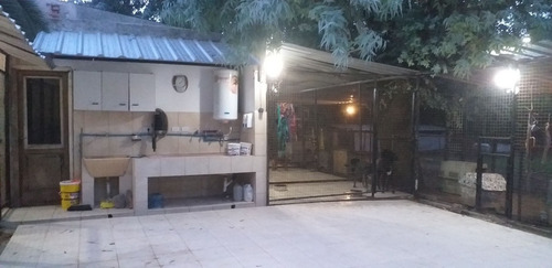 Imagen 1 de 5 de Guarderia Canina Rincon De Tortuguitas