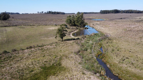 Venta De Chacra En Paraje Soca, Canelones Ie2 - 1691 (ref: Iea-1691)