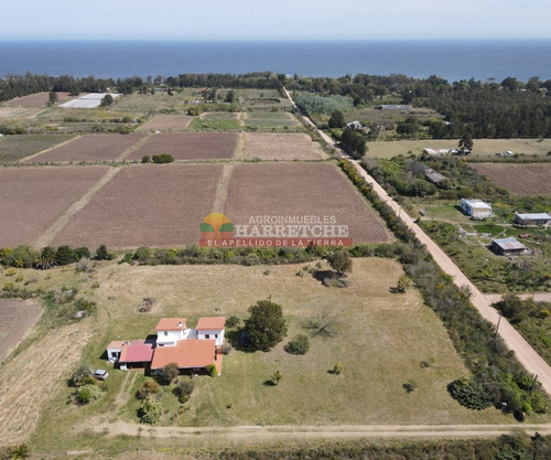 Imagen 5 de 30 de Chacra, 4 Has En Pajas Blancas, Casa, Excelente Vista Al Rio De La Plata