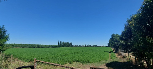 18 Hec Oportunidad Se Vende Terreno Agrícola Retiro Talca