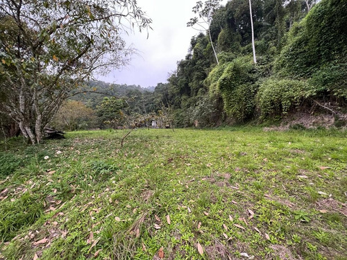 Lindo Terreno Com 2.071m² No Centro De Massaranduba