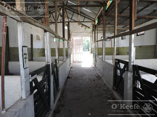 100 Has En Venta Punta Indio - Excelente Acceso - Ideal Haras!