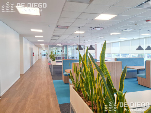 Oficinas En Alquiler 1060 M2 En Edificio Lumina Thames San Isidro, Certificacion Leed Green Building