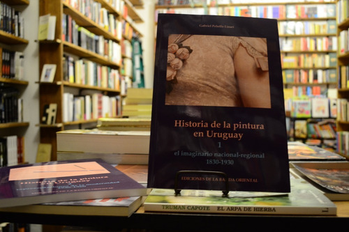 Historia De La Pintura En El Uruguay 2 Tomos Gabriel Peluffo
