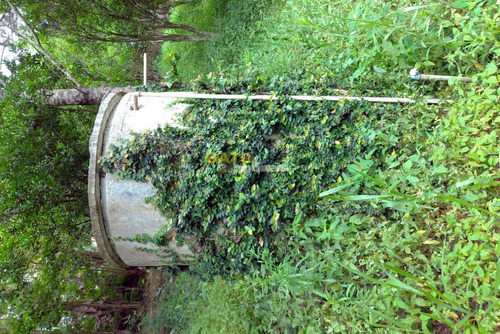 Chácara Para Venda Em Cajamar, Ponunduva, 4 Dormitórios, 3 Banheiros, 4 Vagas - 20882_1-1745244