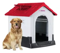 Comprar Casa Para Perros Raza G R A N D E De Invierno Lluvia Verano 