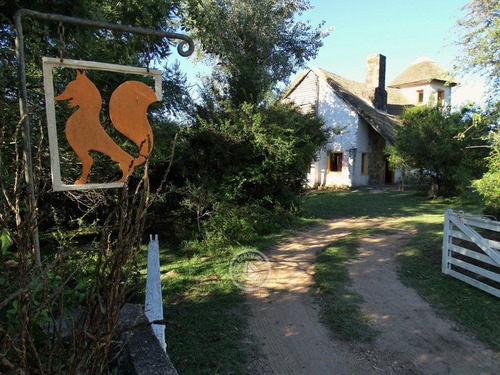 Kaaguy Porá En Villa Serrana