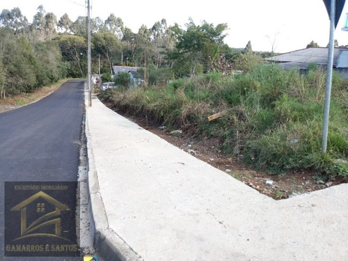 Imagem 1 de 6 de Terreno Com 500,50m² Em Quatro Barras - Te00021 - 32917423
