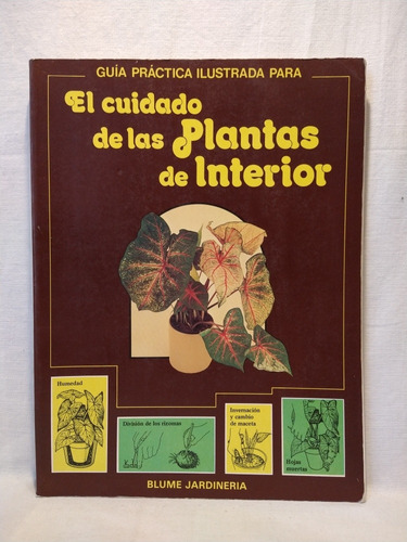 El Cuidado De Las Plantas De Interior - Blume - B 