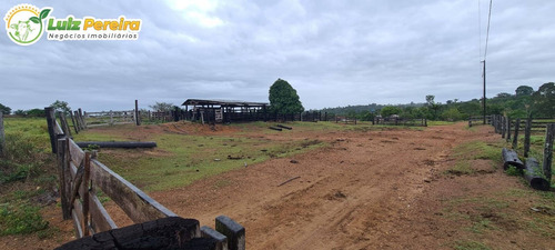 Imagem 12 de 15 de Fazenda À Venda Em Breu Branco - Pa 1.377 Hectares (dupla Aptidão) - 2271